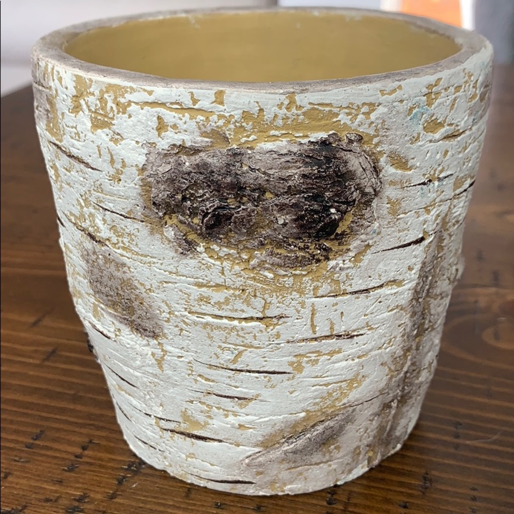 Rustic succulent pots - Picture 3 of 3